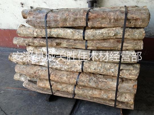 低价出售小叶黄杨木供应用于建筑，板材|家具，木门|工艺，雕刻的低价出售小叶黄杨木