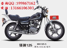 供应广州五羊本田领御125骑式摩托车图片