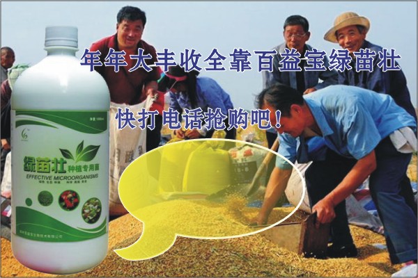 郑州市EM菌发酵堆肥技术厂家供应EM菌发酵堆肥技术