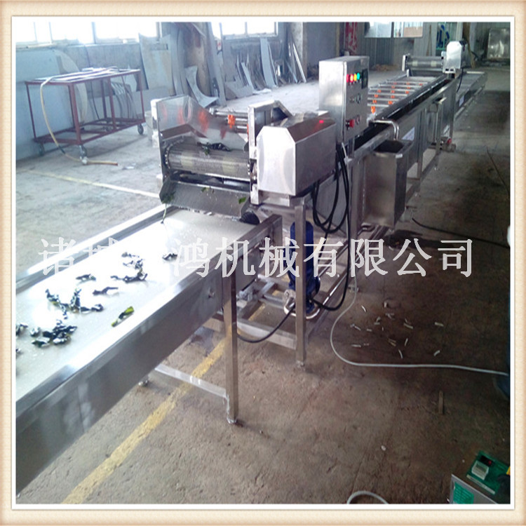 新疆红枣清洗机 自动洗大枣机器 多种型号毛刷清洗机厂家