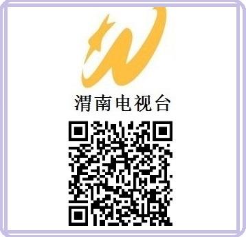 渭南电视台二套华山频道批发