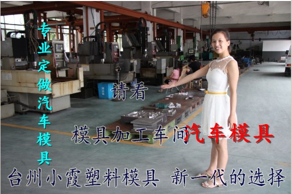 台州江南TT汽车模具工厂 制造汽车挡泥板模制造厂 开模挡泥板注塑模制造厂家​