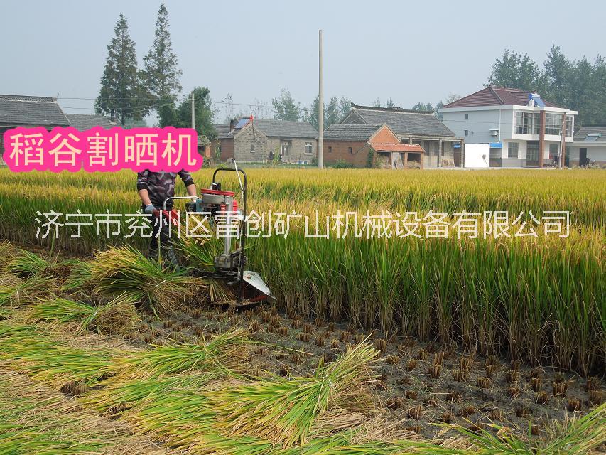 供应水稻收割机 小型割草机价格批发