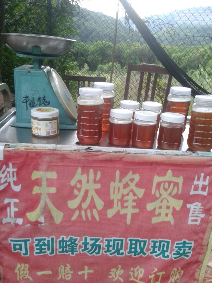 供应蜂蜜龙岗有批发零售为一体的养蜂场