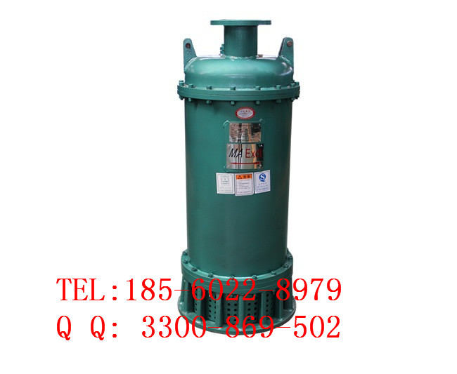 供应用于排污排沙的BQS系列潜水电泵