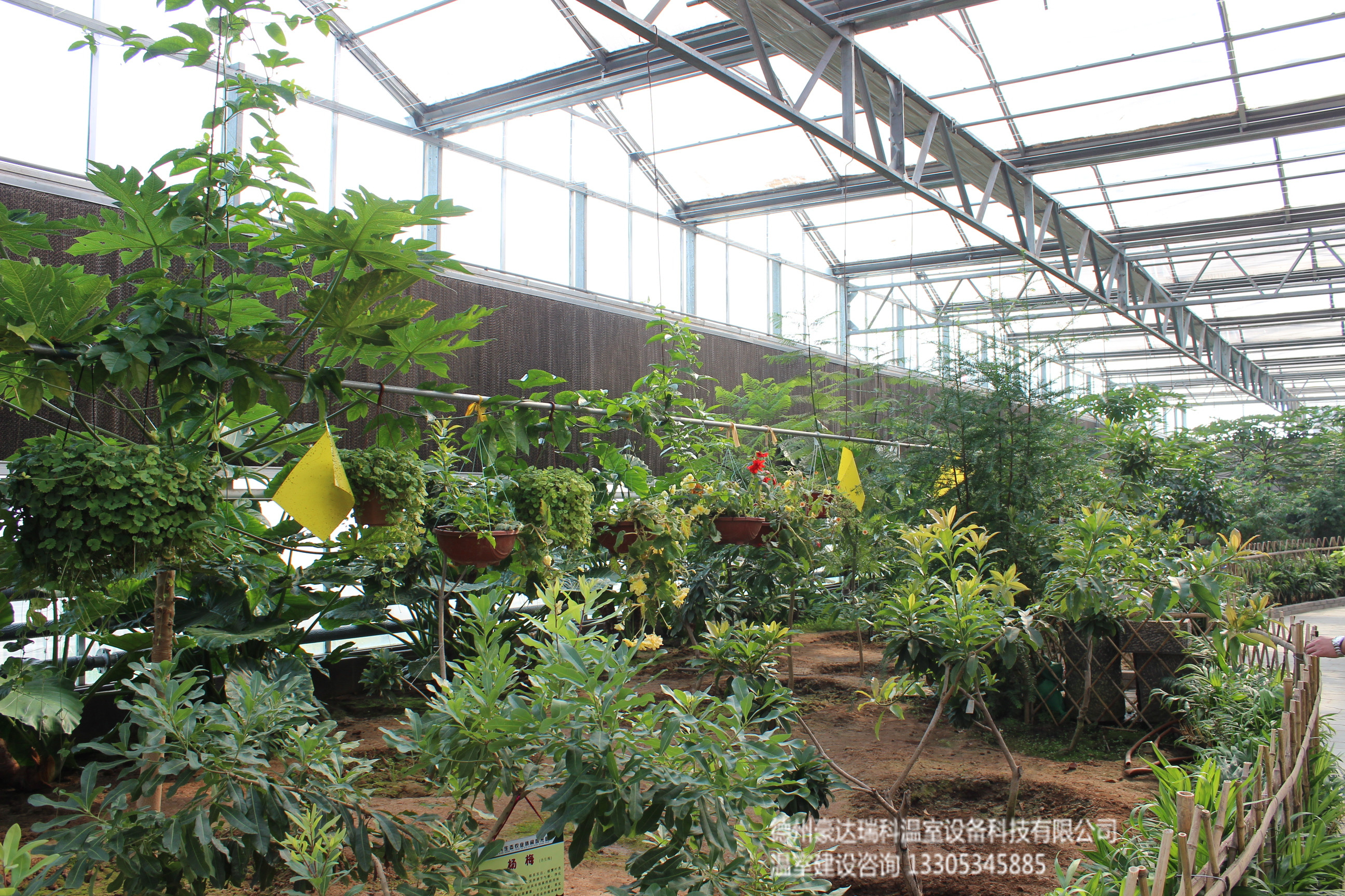 供应用于花卉养植的热带雨林温室