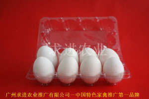 塑料透明蛋托价格  塑料透明蛋托批发  塑料透明蛋托厂家
