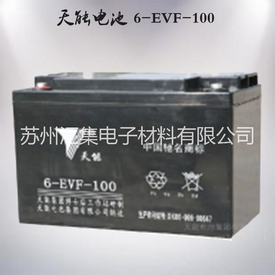 供应天能6-EVF-100