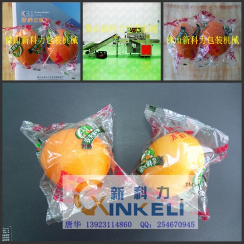 供应自动包橙机｜薄袋子脐橙自动包装机图片