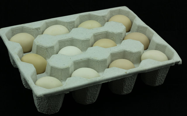 郑州市土鸡蛋市场行情、土鸡蛋的营养价厂家