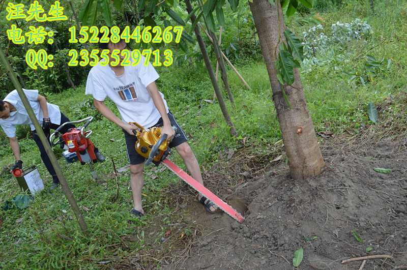 供应用于种植的供应便携式挖树机图片