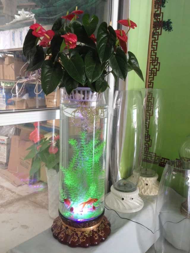 供应充氧花瓶批发-花瓶-电子增氧灯光花瓶图片