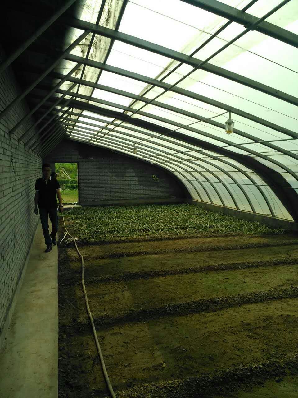 供应用于蔬菜种植的几字型钢日光温室蔬菜大棚温室建设