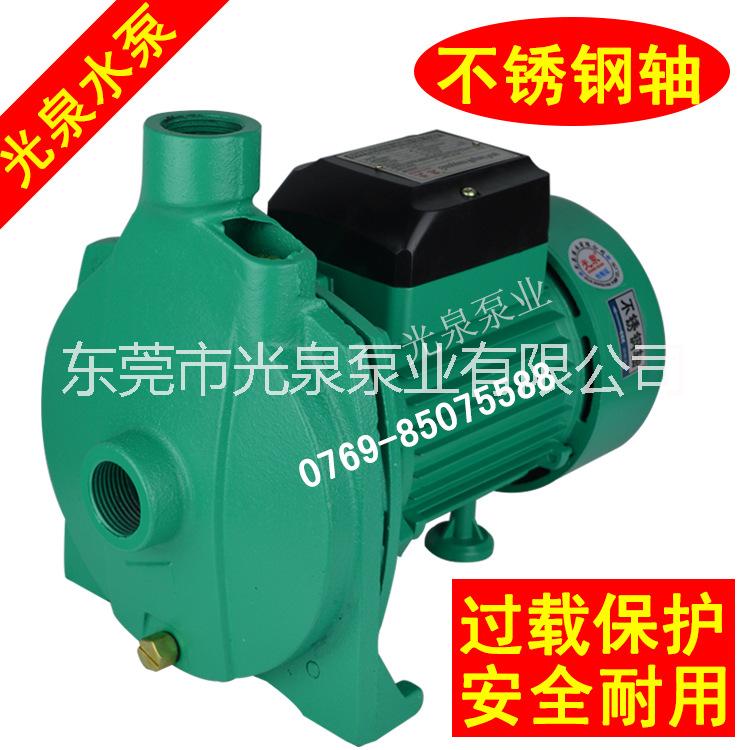 供应用于管道泵的TCP铜叶轮水泵 不锈钢轴 TCP全系列