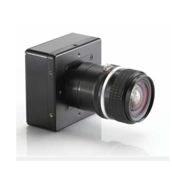 供应加拿大DALSA相机EC-11-01K40