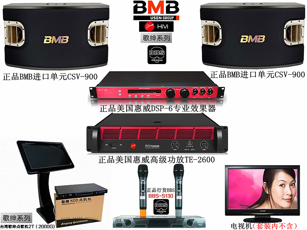 供应进口CSV900日本BMB专业卡包箱KTV设备BBS一拖二无线话筒图片