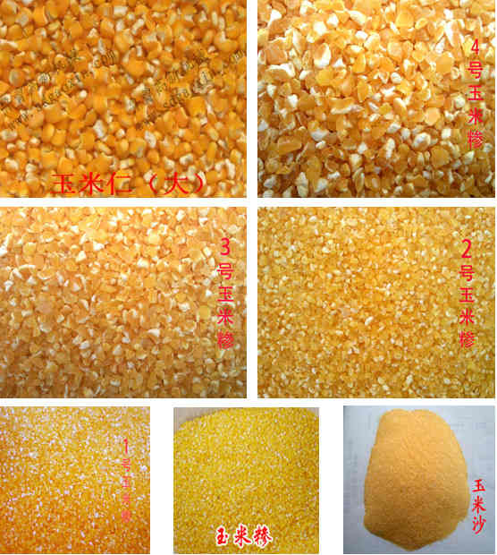 供应玉米制碴机玉米大碴子机玉米脱皮机