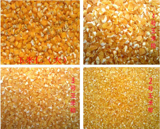 供应玉米制碴机玉米大碴子机玉米脱皮机