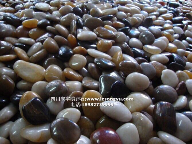供应用于黑色雨花石的若尔盖县黄鹅卵石主要产图片