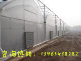 合肥市安徽温室连栋大棚，薄膜大棚厂家