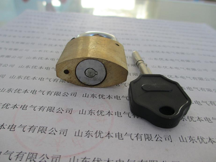 供应用于电力|防护的磁性铜挂锁，电力表箱锁生产厂家 磁性铜挂锁、电力表箱锁