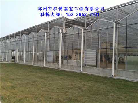 郑州农博温室限出售二手温室大棚、二手温室大棚材料、保温被、大棚骨架图片