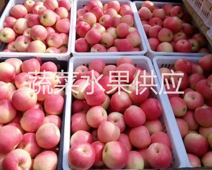 供应用于的山东冷库红富士苹果价格图片