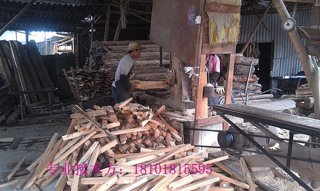 供应上海接木方厂家，接木方机器，接木方胶水