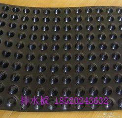广州茂广州茂名疏水板现货供应 电白卷材排水板厂供图片