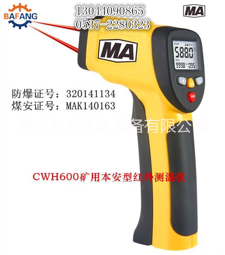 供应CWH600本质安全型红外测温仪图片