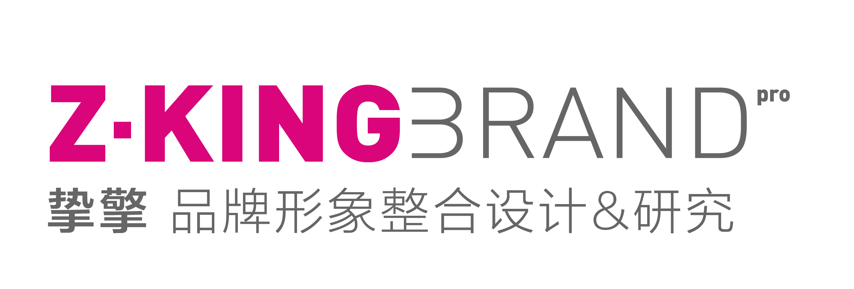石家庄标识设计标志设计logog供应用于设计的Z-KING 挚擎品牌设计（标识设计）