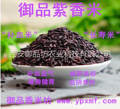 洋县紫糯米批发，补血米、长寿米图片