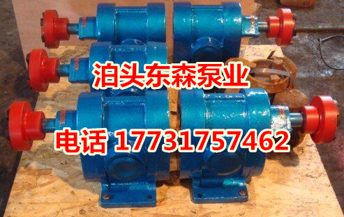 厂家直销2CY液压泵 齿轮油泵 胶水泵高效节能环保型