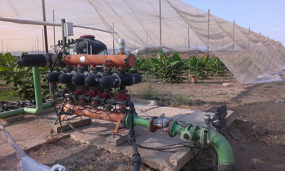 供应生态农业滴灌喷灌过滤器