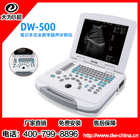 供应笔记本b超机DW-500,国产黑白b超机,全数字超声诊断仪图片