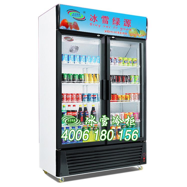供应立式冷柜，双门商用冰柜批发，超市饮料冷柜厂家直销