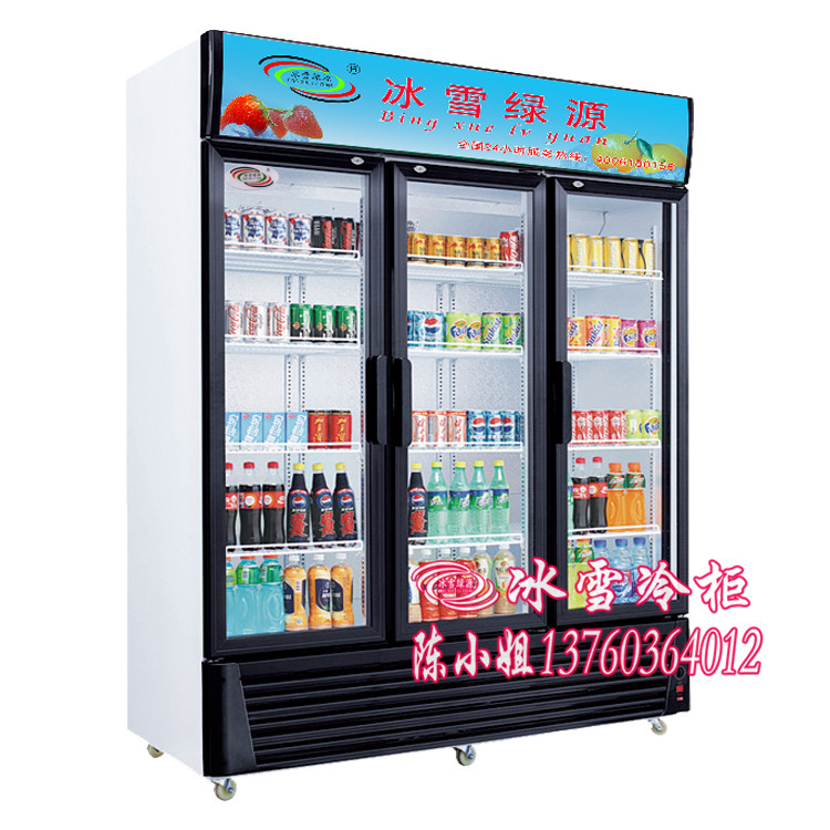 供应冰柜展示、饮料冷藏柜、士多店专用柜、酒吧冷藏展示柜、冷柜尺寸、多种冷柜、
