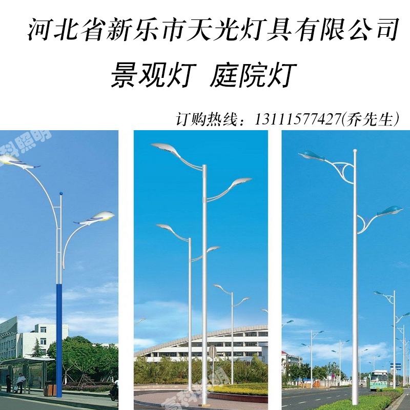 石家庄市景观灯 庭院灯厂家供应景观灯 庭院灯 道路照明灯厂家出售