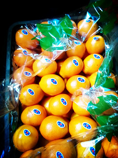 供应宜昌脐橙大量批发，湖北优质脐橙多少钱一斤