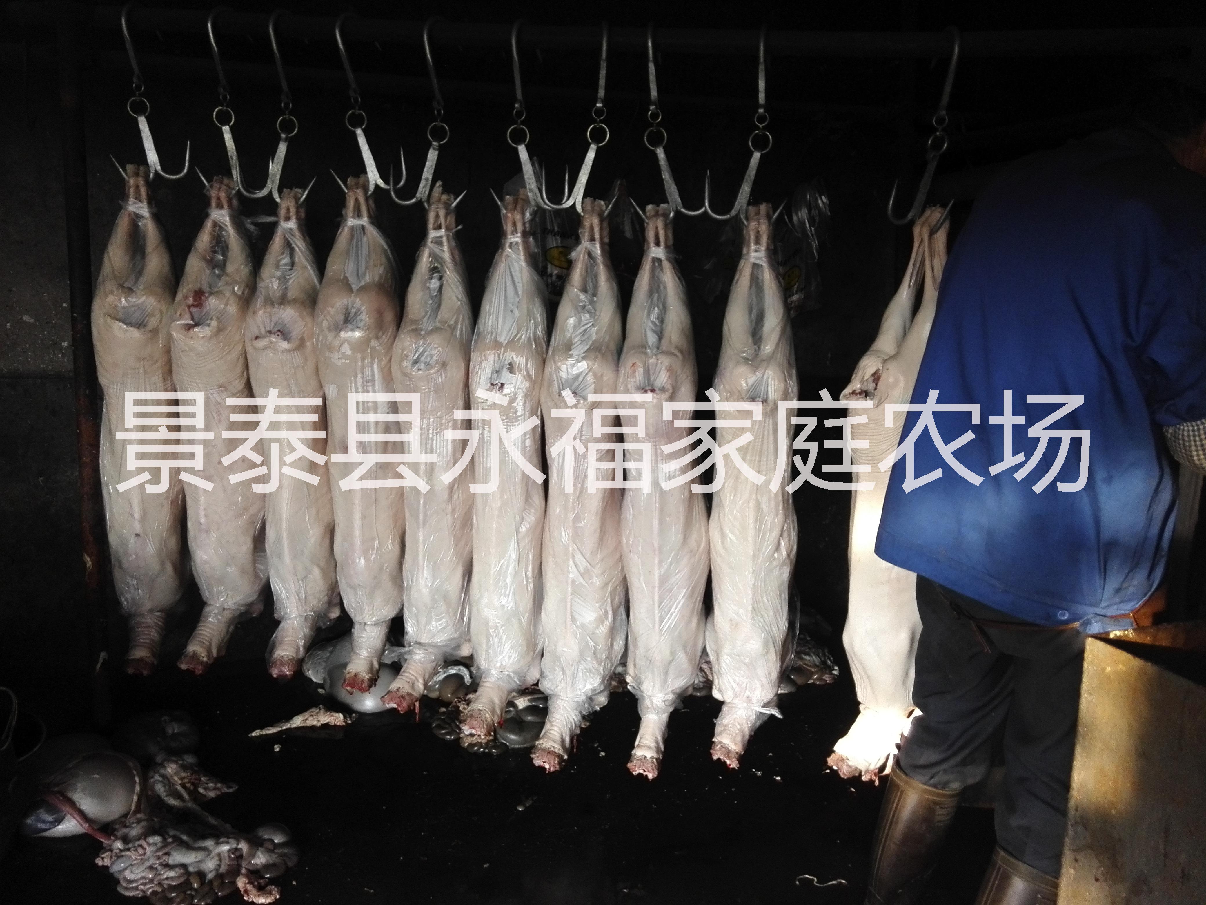 供应杭州带皮羔羊羊肉怎么卖，杭州带皮羔羊肉价格，杭州带皮羔羊肉批发图片
