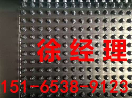 天津排水板，详情咨询15165389123图片