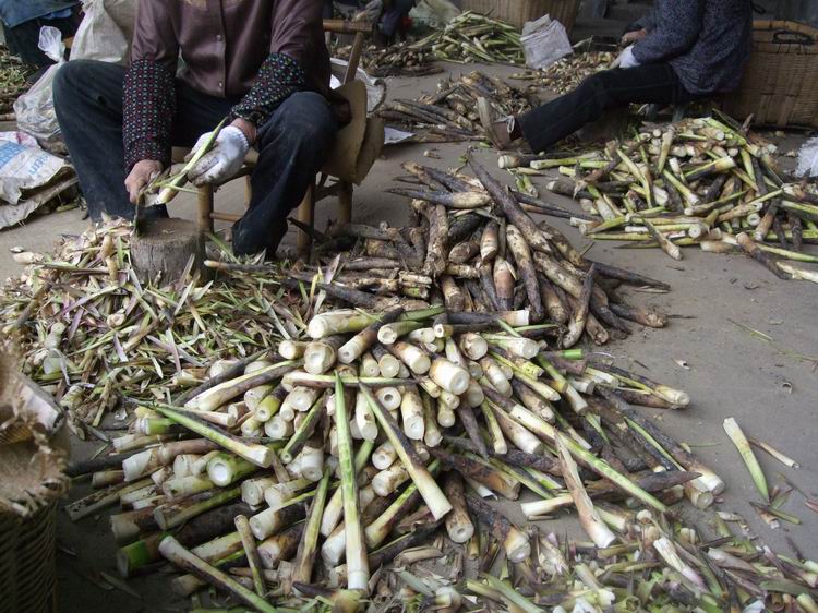 供应台湾阿里山竹笋干，价格优惠，7元一斤，每斤放在水里可以泡8斤，都是选用阿里山上好的竹笋制作而成，是一年四季的美食，