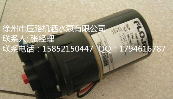 供应用于压路机配件的质量第一徐工XD13压路机洒水泵图片