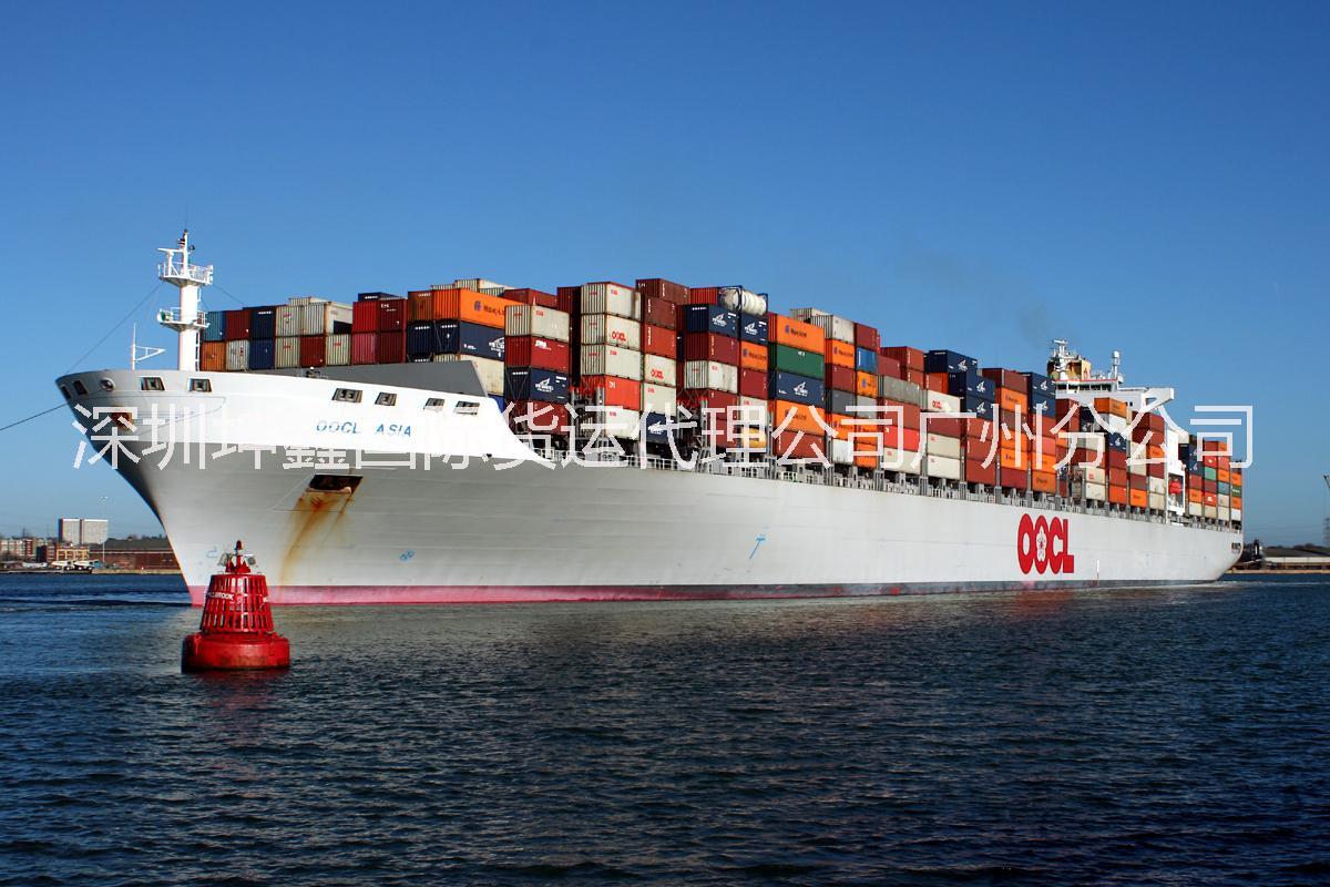 供应用于国际海运的超低价东莞深圳海运金士顿海运曼萨尼约海运双清关包派送海运物流