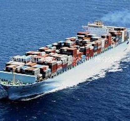 供应用于国际海运的广州佛山海运输公司至海运拉瓜伊拉门到门专线整柜拼箱货运出口报价费图片