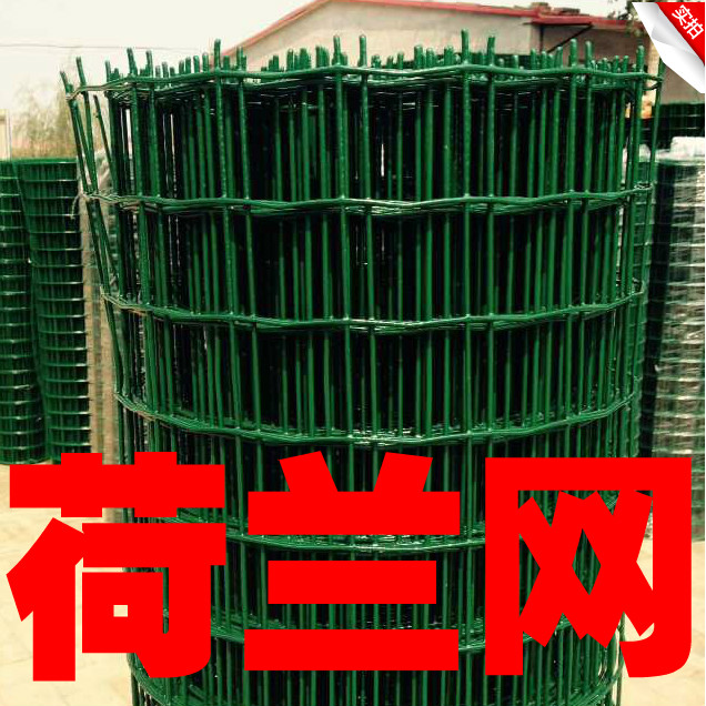 供应用于圈地养殖围栏|围山隔离|养鸡围墙的江苏荷兰网/江苏铁丝网/护栏网