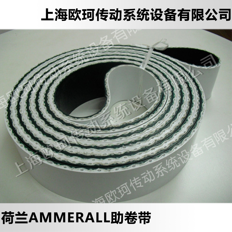 供应用于工业皮带的荷兰AMMERALL助卷带 无缝助卷带图片