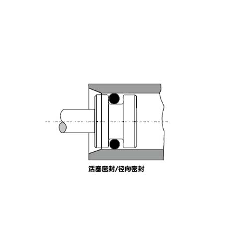 师承供应德国COG FKM BF750