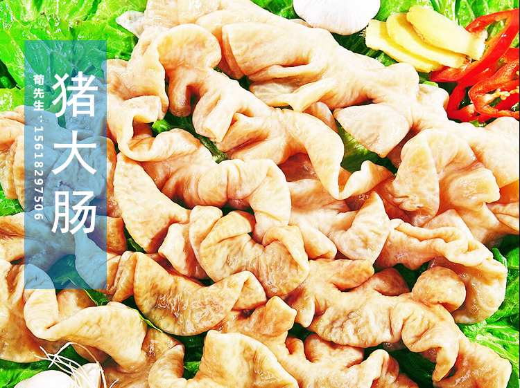 上海金锣生鲜肉猪大肠销售配送价格