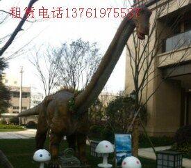 南京市大型恐龙模型出租恐龙出租厂家